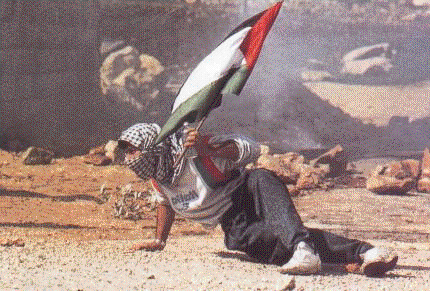 Palestinian fighter