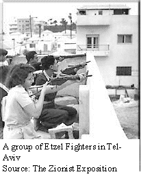 Zionist fighters